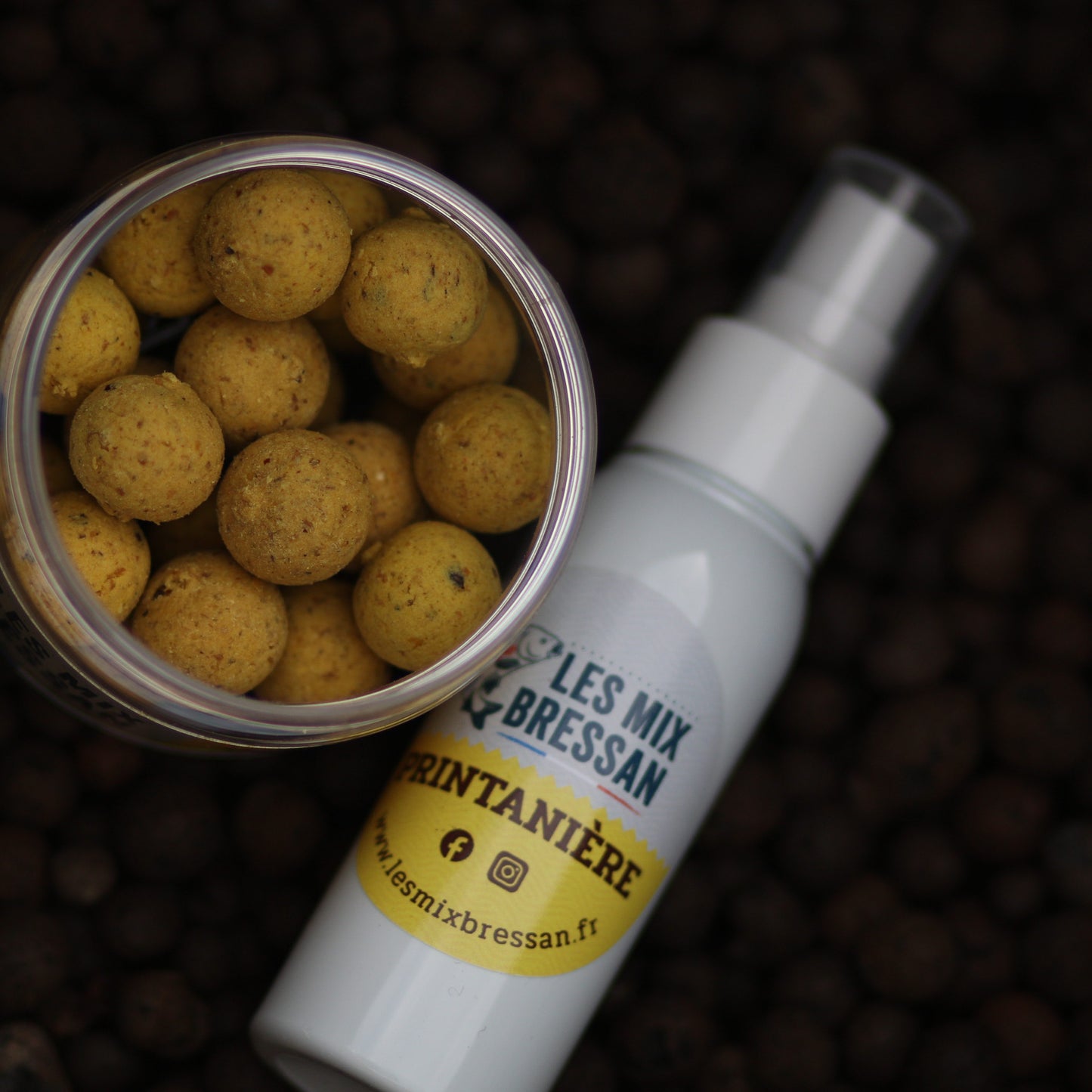 BAIT-SPRAY  -  PRINTANIÈRE