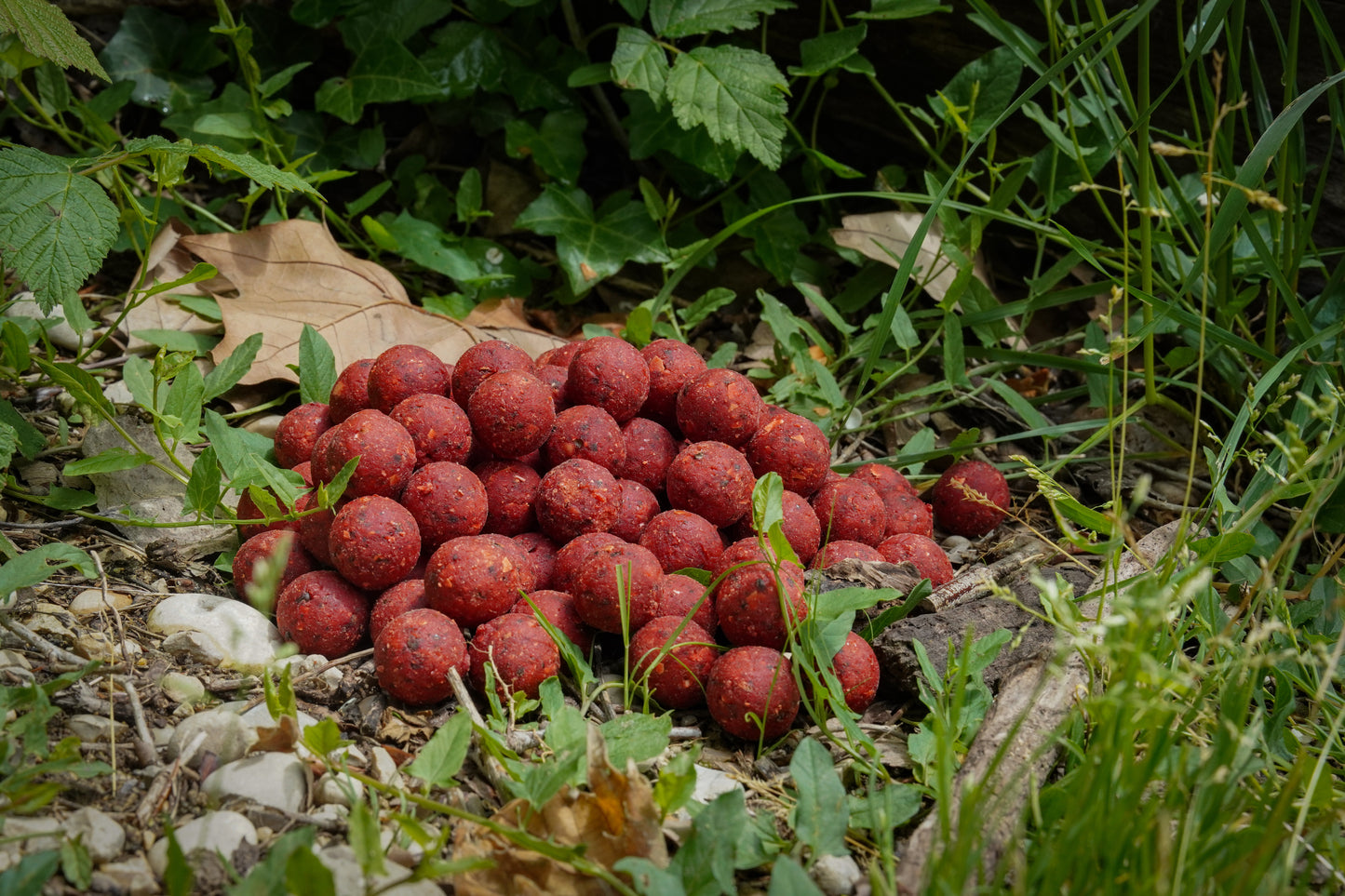 BOUILLETTES - SPICY RED