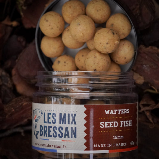 WAFTER - SEED FISH