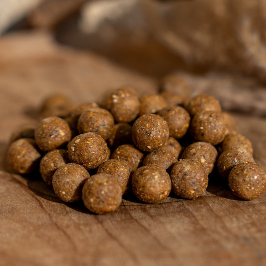 BOUILLETTES - SEED FISH