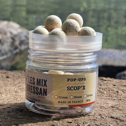 POP-UPS  -  SCOP'X