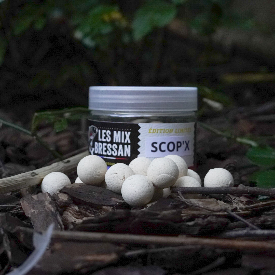 POP-UPS SCOP'X - édition limitée